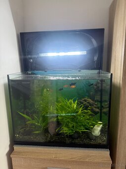 Akvárium 60x45 - 3