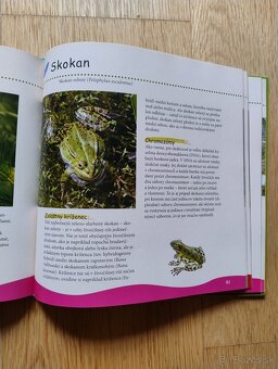 Sprievodca prírodou pre deti - 3