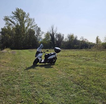 SYM JET 14 125 r.v. 2023 - 3