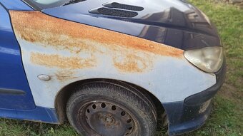 Diely Peugeot 206 - 3