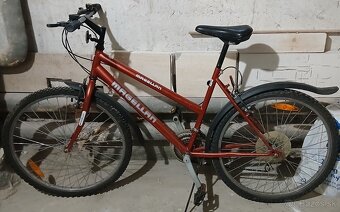 Dámsky a pánsky bicykel - 3