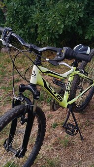 MTB 24 CTM Berry 2.0 - 3