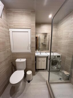 1 izbovy byt prenájom - 3