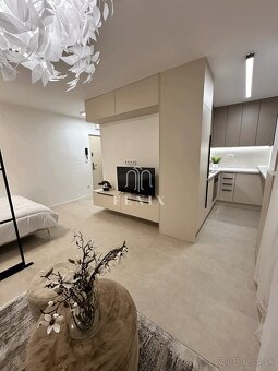 Moderný 1 izbový byt, Turgenevova ulica, 28 m2, Kosice JUH - 3
