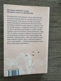 Ignis Fatuus (Petra Klabouchová) - 3