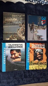 umenie, história, cestopis, slovníky, učebnice - 3