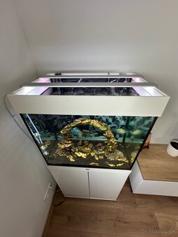 Akvárium juwel 120l - 3