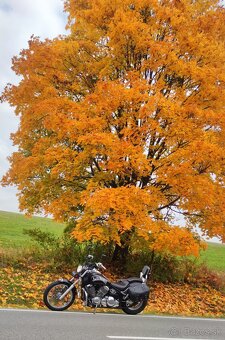 Yamaha Drag Star 650 - 3