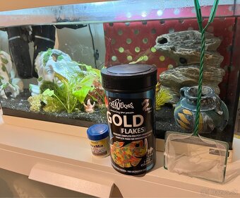 Založené akvárium - 3