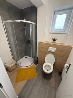 Izba na prenájom - 3