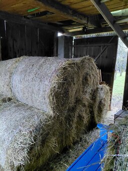 Seno veľké balíky - Ďatelinová zmes - 3