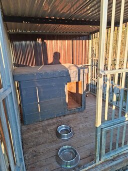 Voliéra pre psa,psia búda - 3