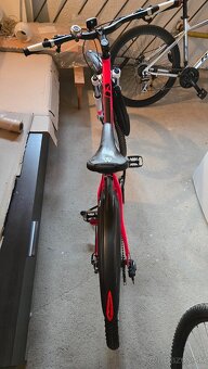 Kenzel Apolis Shade Damsky 27" - 3