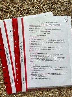 MATURITNÉ TÉMY - SLOVENSKÝ JAZYK A LIT - 3