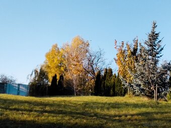 Ponúkame na predaj veľký pozemok, dom - 3