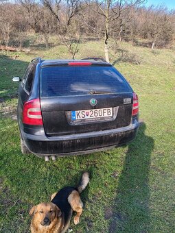 Škoda octavia - 3