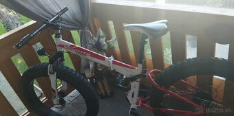 Fat Bike - 3