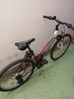 CTM bicykel stefi 2 - 3