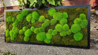 Machový obraz na želanie - 3