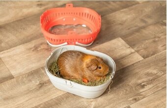 Prepravka Trixie Pico 30 × 21 × 23 cm - nová - 3