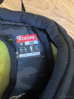 Vesta a holene CCM - 3