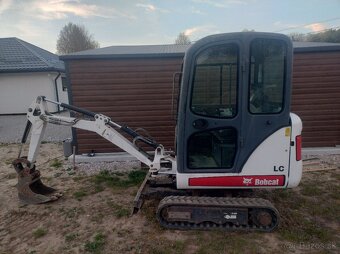 Bobcat - 3