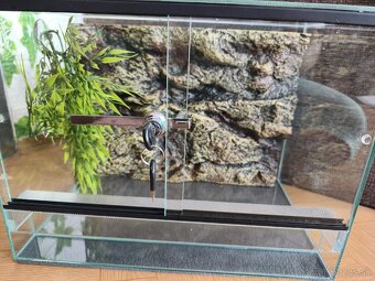 Predam terarium - 3