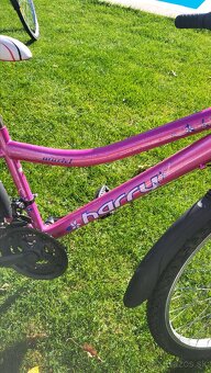 Detský bicykel Harry 24 - 3