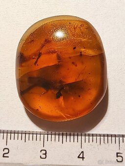 Jantár s veľkým hmyzom - 3