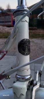 Damsky mestsky bicykel - 3