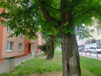 Byt v peknej lokalite, plno zelene, v tesnej blízkosti c… - 3
