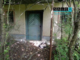 Vinica na predaj, 2500 m2, Farná, okr. Levice - 3