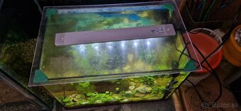 Akvárium 52 l zariadené - 3