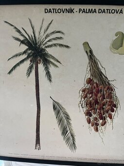 Retro plagát - učebná pomôcka - 3