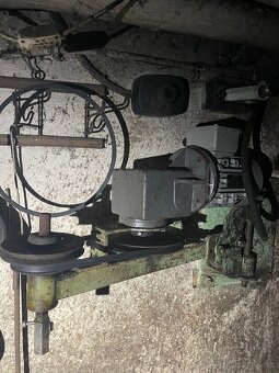 palenica srotovnik - 3