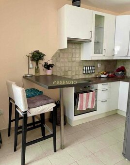 ASSENZIO – PRENAJOM – 1 IZBOVÝ BYT – GALVANIHO – RUŽINOV - 3