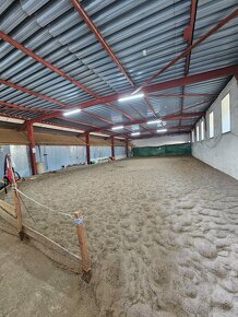 ustajnenie koni, vychadzky vodenie pre deti - 3