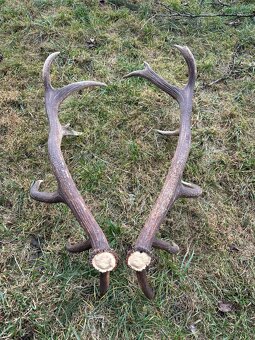 Parohy,parožie,zhody - 3