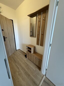 Garsonka 24m2 na prenajom po komplet rekonstrukcii - 3