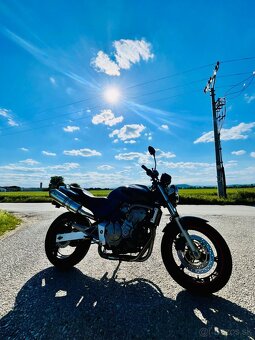 Honda Hornet 600 - 3