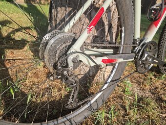 CTM Rambler 1.0, 29 palcov - 3