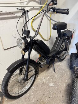 Predam Babettu 210 V Top Stave - 3