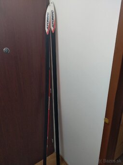 Predám Bežky veľkosť 201cm - 3