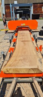 Kmenova pasova píla - 3