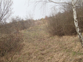 Predaj pozemku - 3