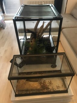Predam terrarium kompletne - 3