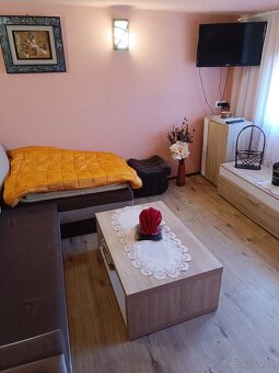 Na predaj vinohradnícky domček – chata - 3