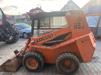 Predam locust 853 - 3