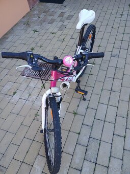CTM Willy 24 bicykel - 3