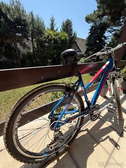 Bicykle - 3